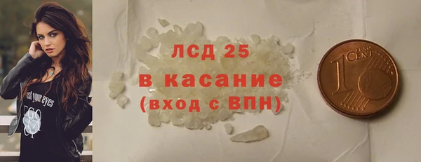 ПСИЛОЦИБИНОВЫЕ ГРИБЫ Арсеньев