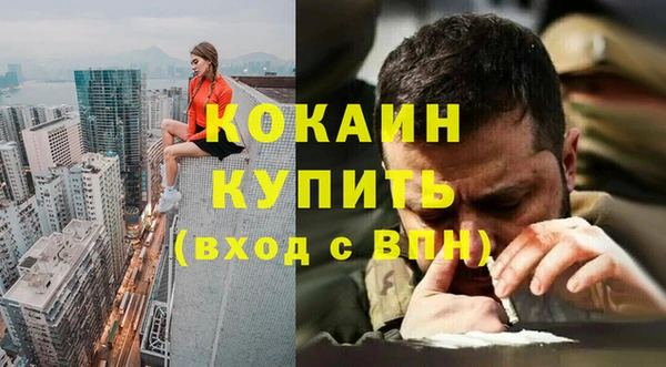 ПСИЛОЦИБИНОВЫЕ ГРИБЫ Арсеньев