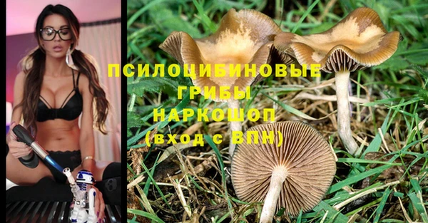 кокаин премиум Аркадак