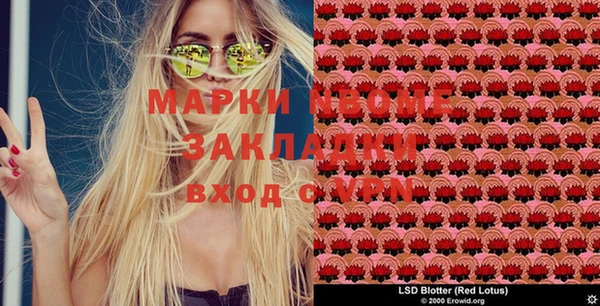 шишки Армянск