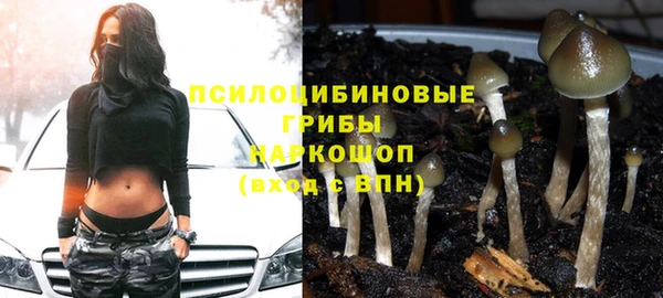 шишки Армянск