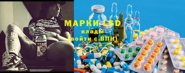 ПСИЛОЦИБИНОВЫЕ ГРИБЫ Арсеньев