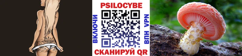 Галлюциногенные грибы Cubensis  продажа наркотиков  Катав-Ивановск 